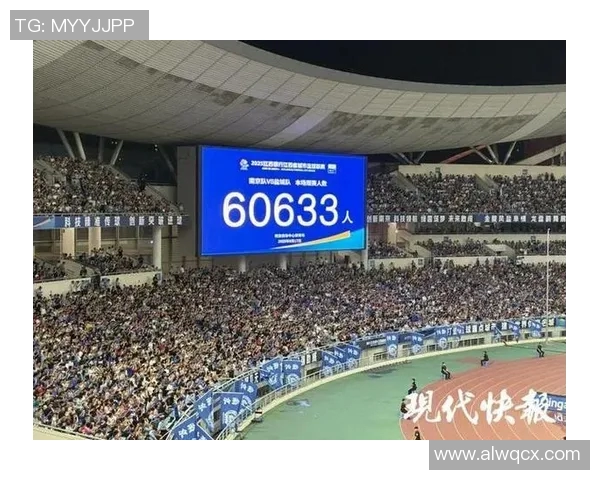 南京排球队技术争议引发热议球迷观点各异讨论激烈