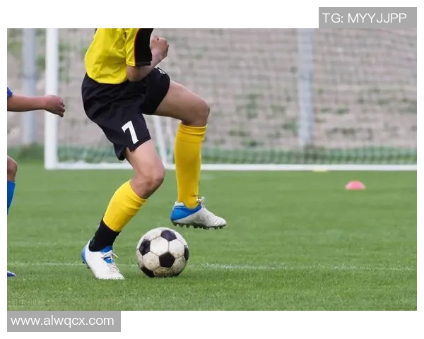 广州排球队节奏引发热议球迷与教练的观点碰撞与反思