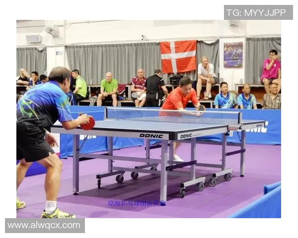 武汉乒乓球队在大师赛中的个人能力分析与表现评估 武汉乒乓球队在大师赛中的个人能力分析与表现评估