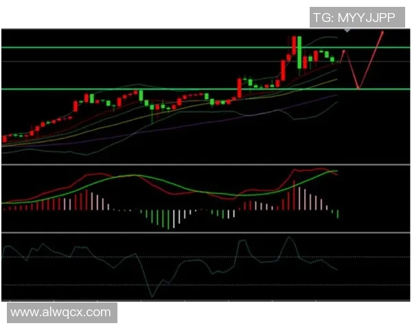独家分析：深圳羽毛球队的战术对比