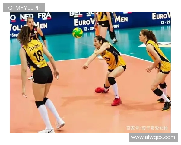 独家分析：北京排球队的耐力对比