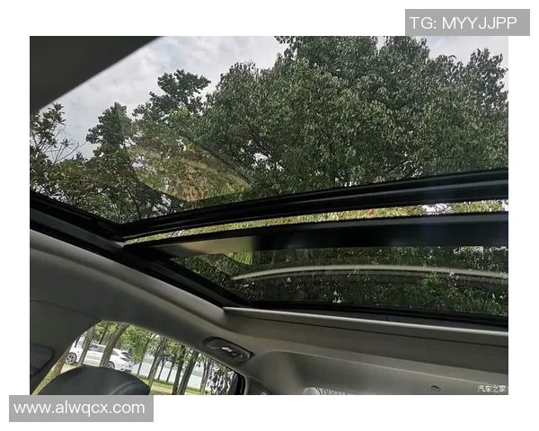 滑板战术：武汉滑板队的阵地战体系